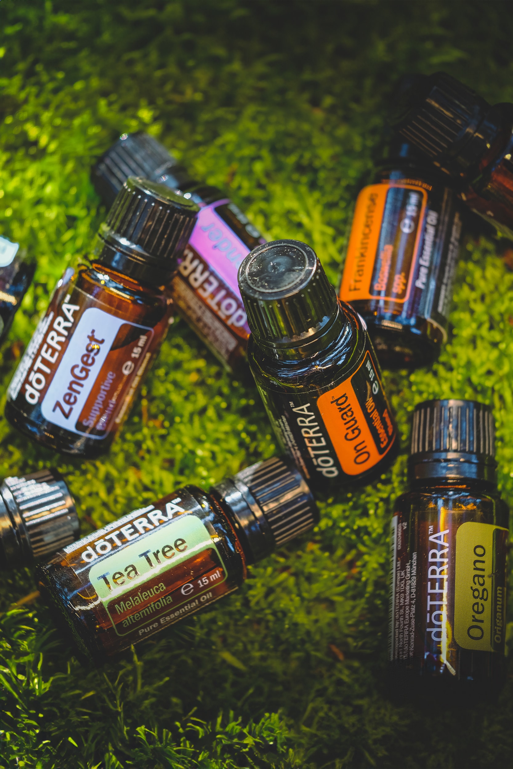 Jessy-Richter_wie-atherische_oele dōTERRA-Ölflaschen liegen im Moos, ZenGest, Tea Tree, On Guard, Oregano