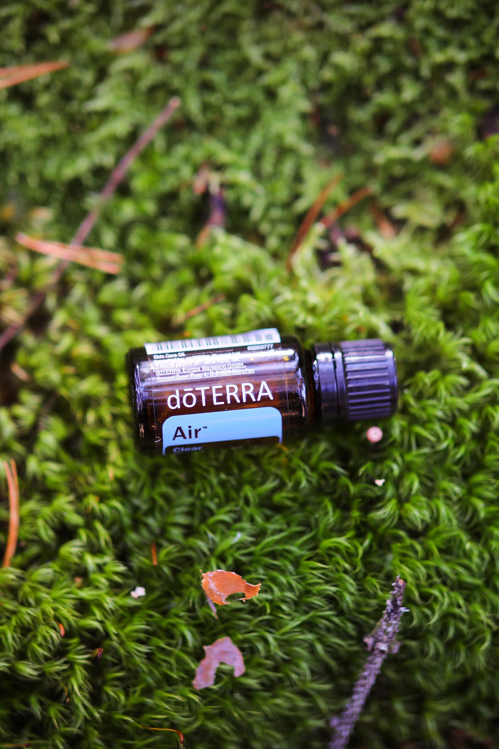 Jessyy_Richter_wie_kraftvoll dōTERRA-Ölmischung, Air, Atemwegsmischung, liegt auf Moos
